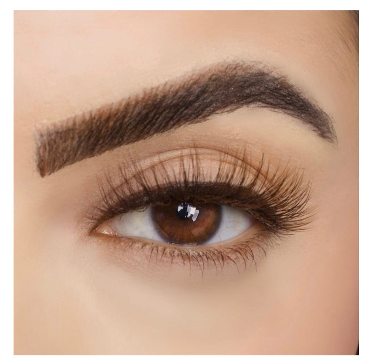 JLASH Mocha Mousse Brown Lashes - Chocolate